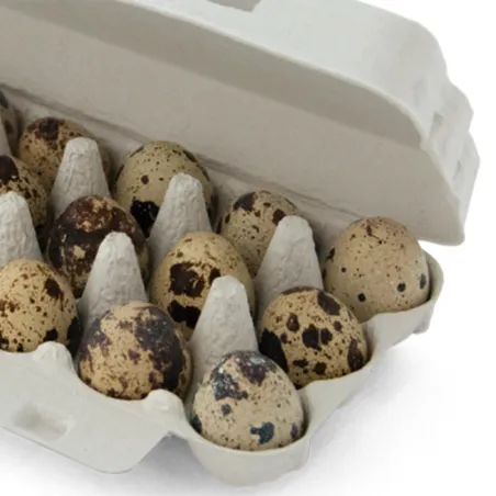 Lot de 65 boites oeufs caille carton de 18 oeufs