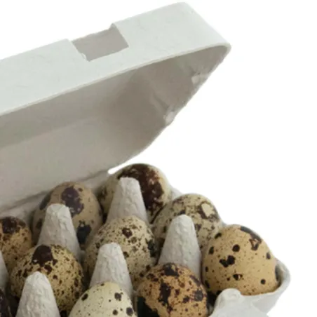 Lot de 585 boites oeufs caille carton de 18 oeufs