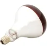 Ampoule chauffante infrarouge 150 W