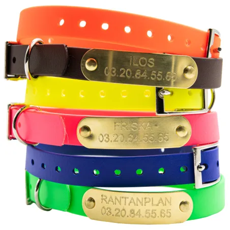 Colliers Biothane Beta petit chien et chiot Gravé