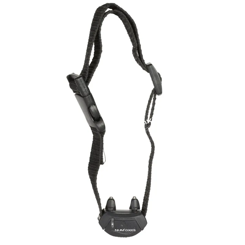 Collier anti-aboiement petit chien Numaxes®