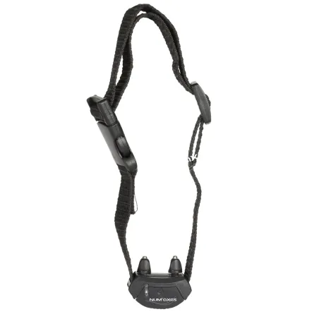 Collier anti-aboiement petit chien Numaxes®