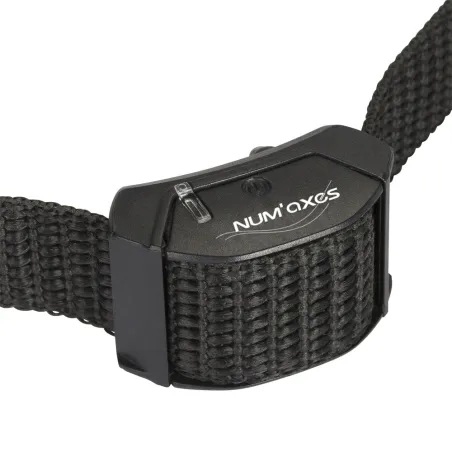 Collier anti-aboiement petit chien Numaxes®