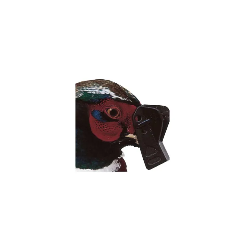 Antipicage Speed-bec petit modèle lot de 5