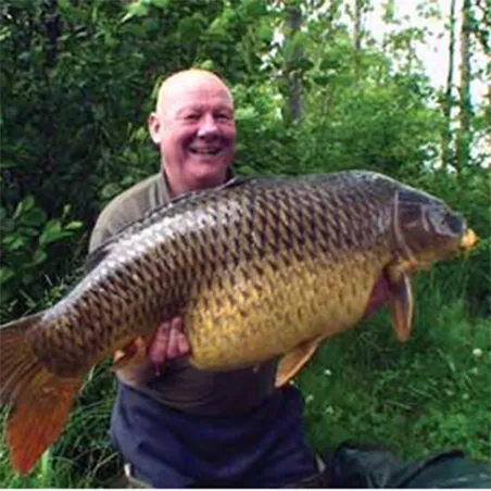 Lot 2 DVD: carpe session