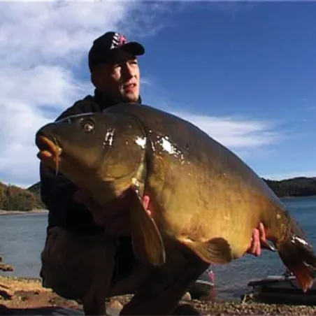 Lot de 2 DVD : Carpes en grands lacs