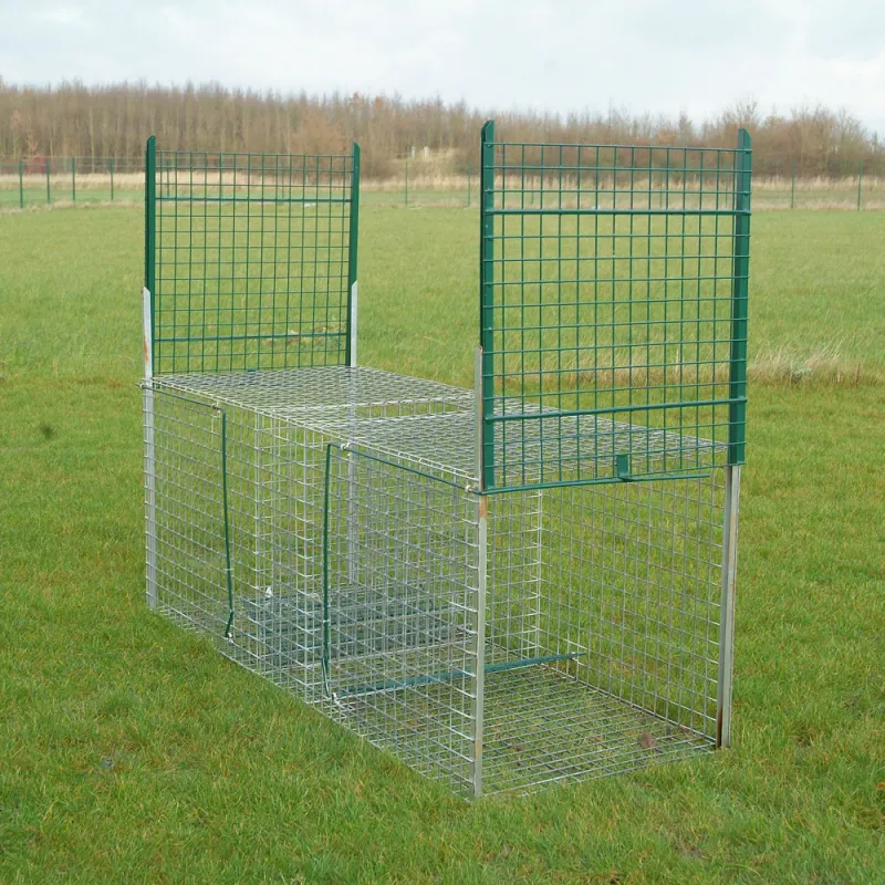 Cage spéciale renard grillage mailles carrées 5cm 200x75x75cm