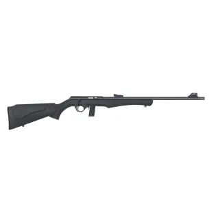 Carabine à verrou 22LR + fourreau + silencieux + lunette 3-9 x 40