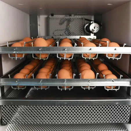 Couveuse automatique Maino Mini Pro 70 Digitale