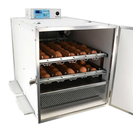 Couveuse automatique Maino Mini Pro 70 Digitale