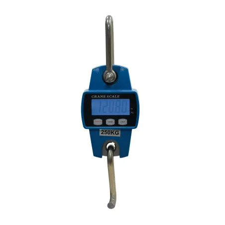 Peson électronique 250 kg boitier métal graduation en 50g