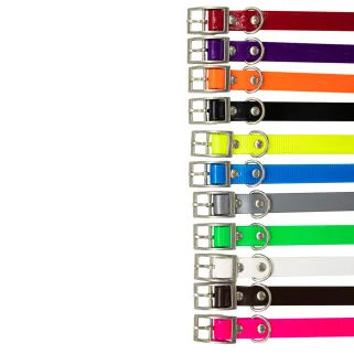 Collier Biogold petit chien ou chiot 11 couleurs