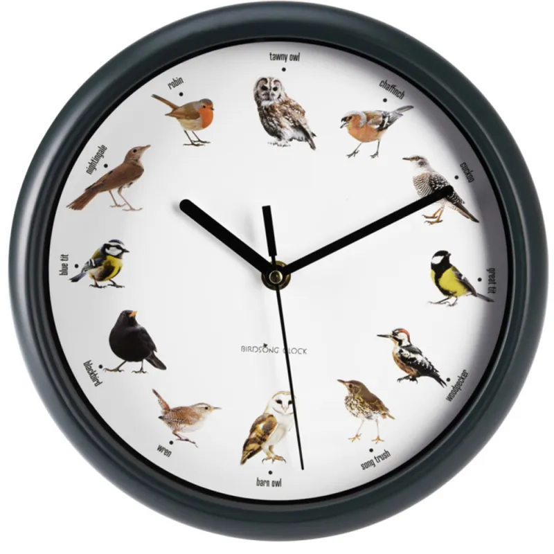 Horloge murale sons oiseaux