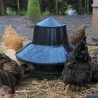Mangeoire antipluie pour gibier 25 kg faisans perdrix et volailles