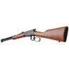 Carabine Rio Bravo 22LR 10 coups bois 91cm