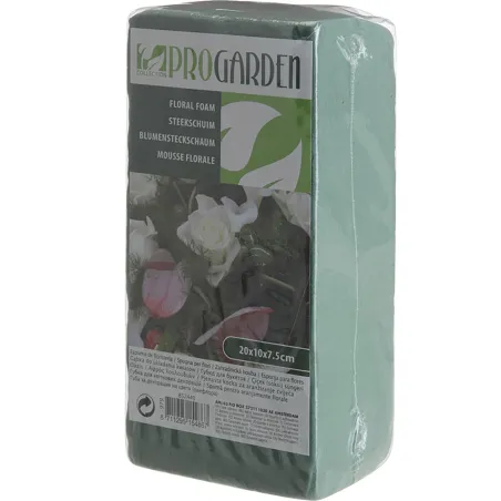 6 Mousses florale 20 x 10 x 7,5 cm