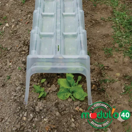 Mini serre / Tunnel de forçage 1,05 m x 0,4 m