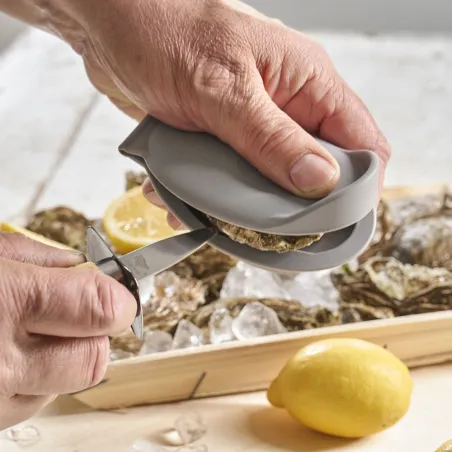 Cale-Huîtres Pradel France