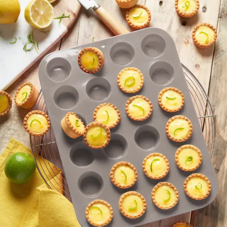 Moule silicone Pradel France 24 mini tartelettes