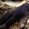 Gants Claw imperméables | Laine mérinos, respirants et tactiles