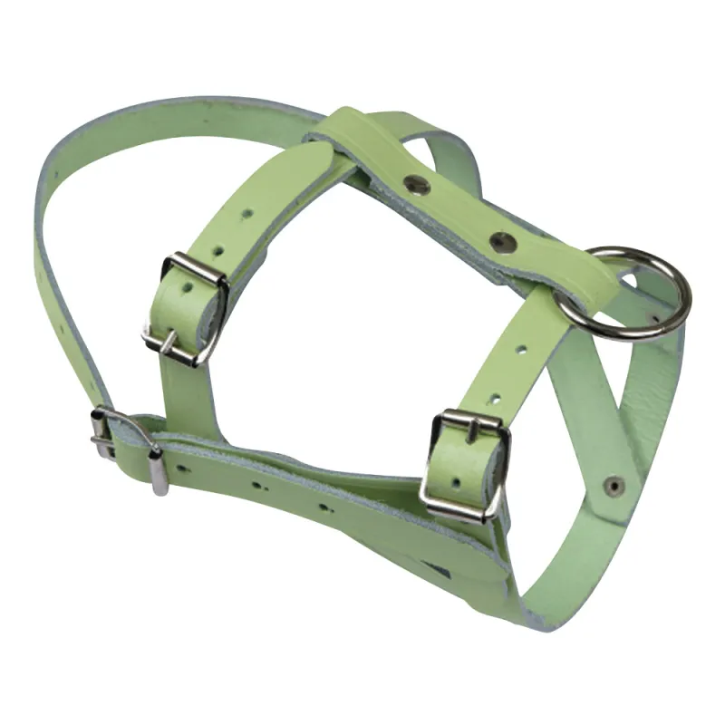 Licol pour mouton ou bélier en cuir