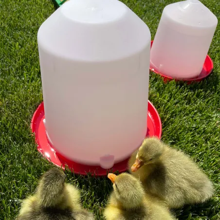 Abreuvoir siphoïde 10 L plastique 