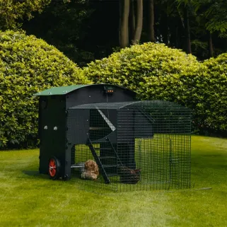 Poulailler surélevé en plastique recyclé 8 à 15 poules