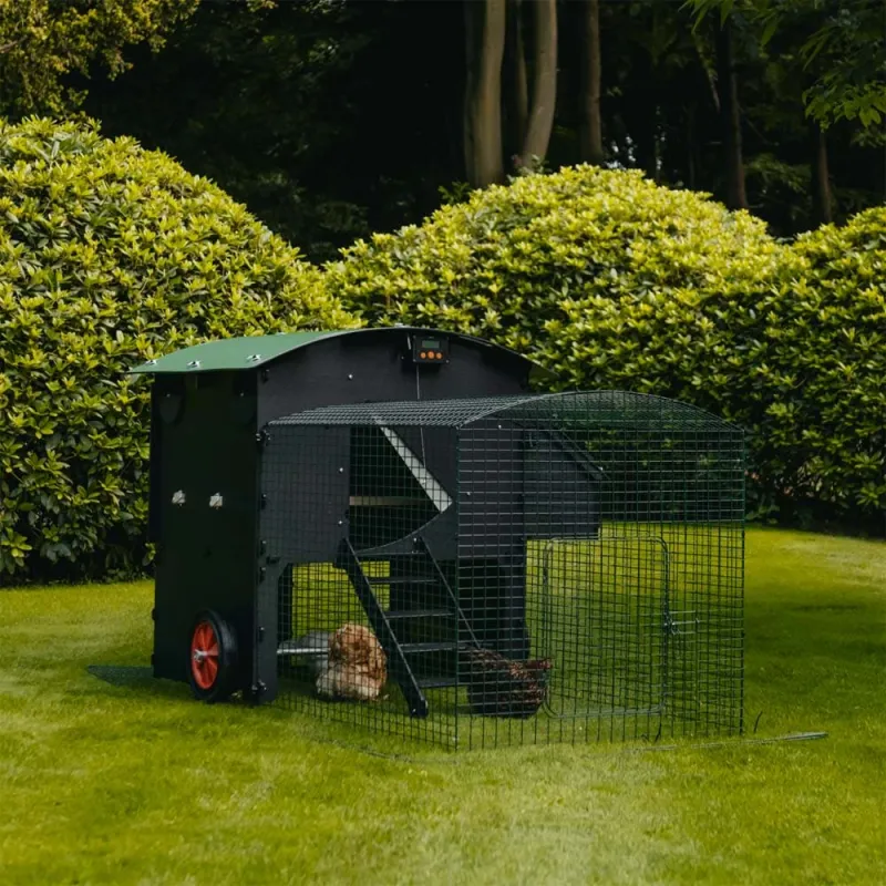 Poulailler surélevé en plastique recyclé 8 à 15 poules