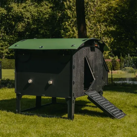 Poulailler sur pieds en plastique recyclé 8 à 15 poules