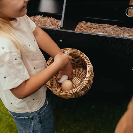 Poulailler sur pieds en plastique recyclé 8 à 15 poules