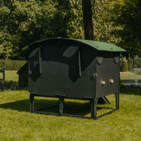 Poulailler sur pieds en plastique recyclé 8 à 15 poules