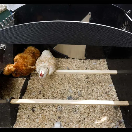 Poulailler sur pieds en plastique recyclé 8 à 15 poules