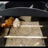 Poulailler sur pieds en plastique recyclé 8 à 15 poules