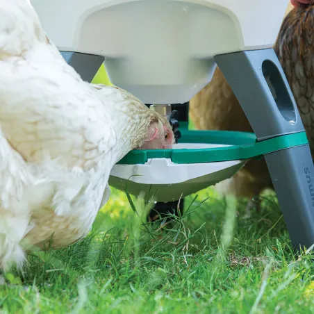 Abreuvoir sur pieds 25 L Optimus réservoir démontable Olba