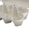 Lot de 124 Boîtes 2X6 oeufs carton à l'unité