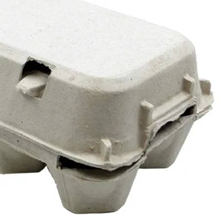 Lot de 124 Boîtes 2X6 oeufs carton à l'unité