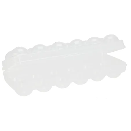 Boîte à 12 oeufs facile à nettoyer réutilisable 27,5x10x7,5cm