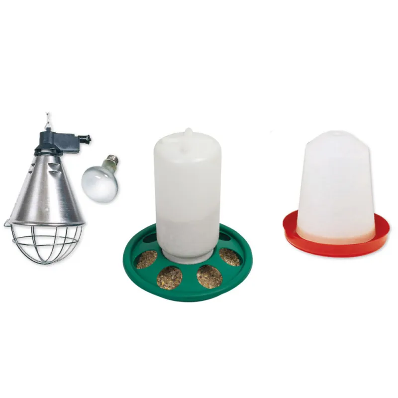 Kit élevage de poussins premium 