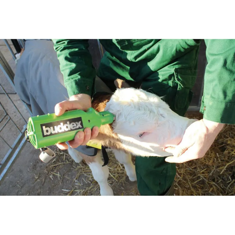 Ecorneur Buddex à batterie