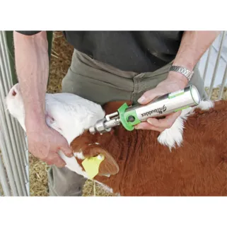 Ecorneur à gaz Buddex acier inoxydable