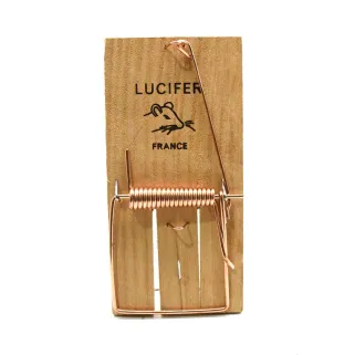 Lot de 10 Tapettes à rat en bois 170 X 75 mm 