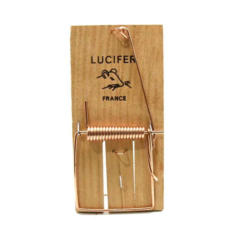 Lot de 10 Tapettes à rat en bois 170 X 75 mm 