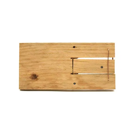 Lot de 10 Tapettes à rat en bois 170 X 75 mm 