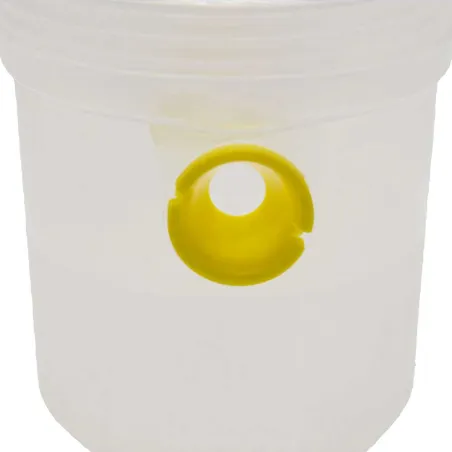 Piège à guêpe sans produits chimiques en plastique résistant