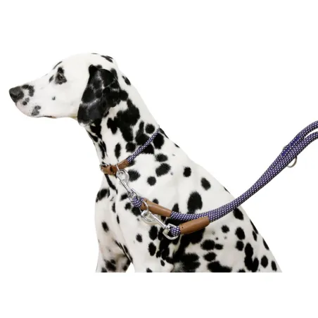 Collier pour chien en corde 30 - 40 cm