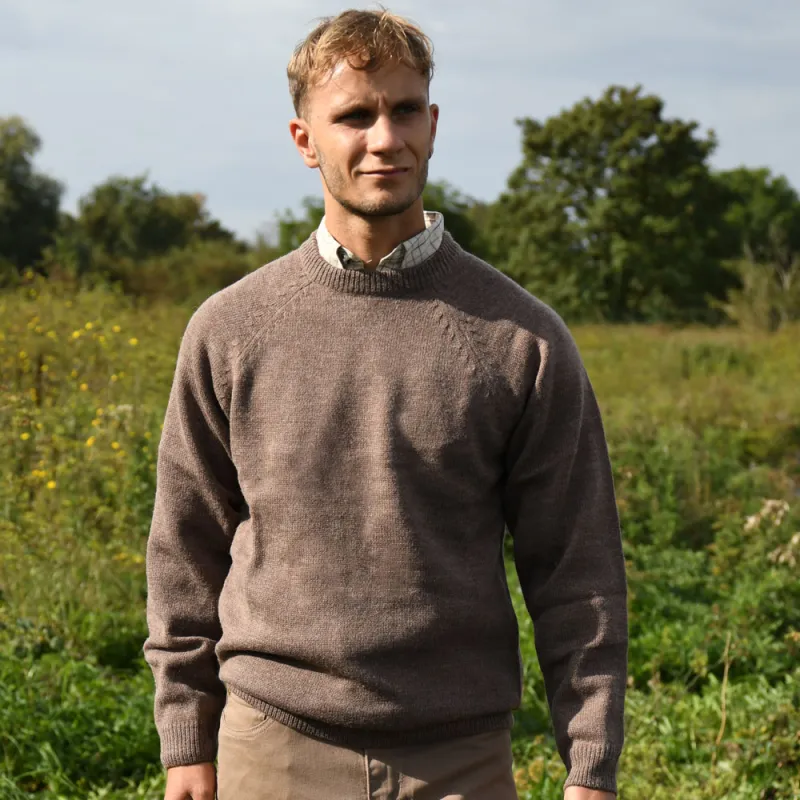 Pull Roanne col rond brun