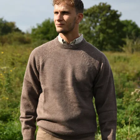 Pull Roanne col rond brun