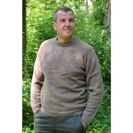 Pull Roanne col rond brun