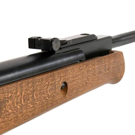 Carabine à plombs air comprimé GR1600W 4.5mm 40J canon 60cm