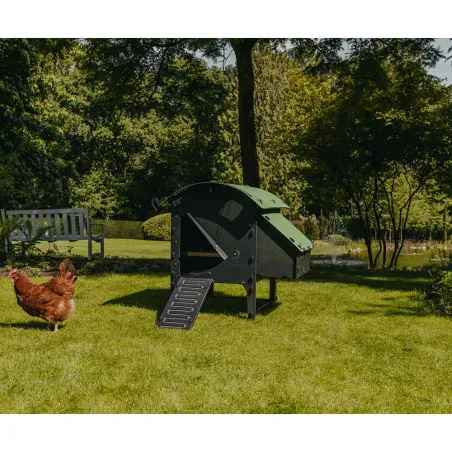 Poulailler sur pieds en plastique recyclé 5 à 9 poules